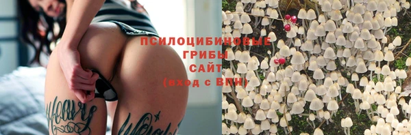 спиды Алзамай