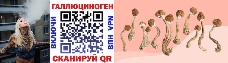 Галлюциногенные грибы мухоморы где можно купить наркотик Злынка